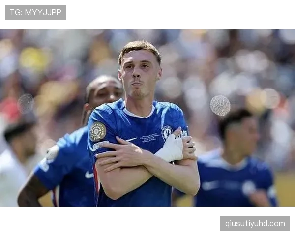 帕尔默能否进入主力阵容：战术适配与竞争格局分析