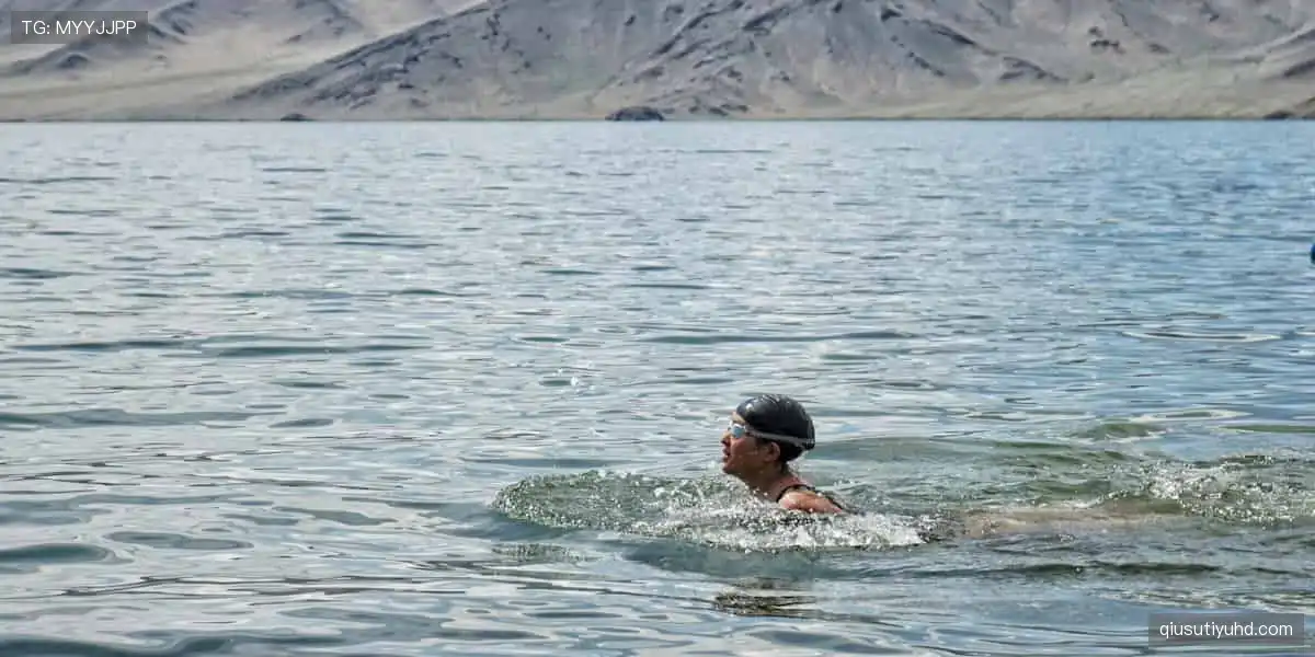 一键订阅，精彩不断！🔔🏐